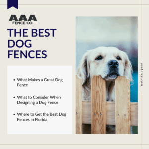 best dog fences